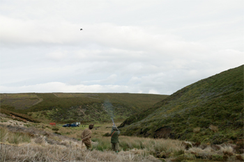 Grouse, woodcock, snipe and pheasant at Raby