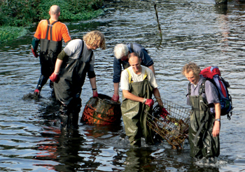 Save the River Wandle