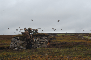 Grouse shooting at Wemmergill