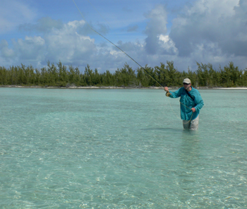 Bonefish on a shoe-string