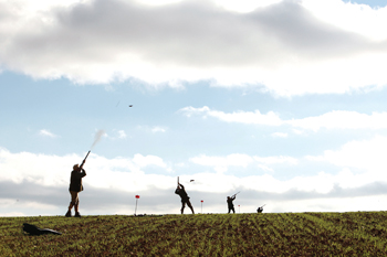 Partridge shooting could face ban