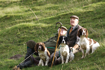 Training a gundog � the theory and practice