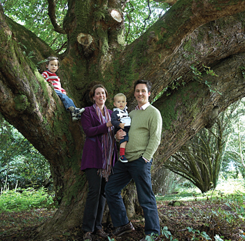 Ancient trees grow with ancient families