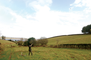 Pheasant and partridge shooting at Powderham Castle