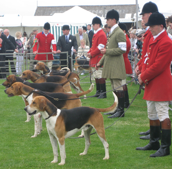Game fairs in the UK - July 2009