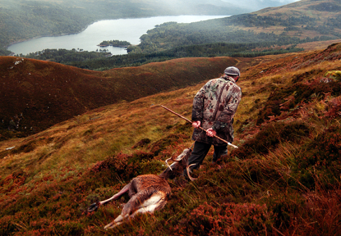 National Gamekeepers' Organisation (NGO) founds deer branch
