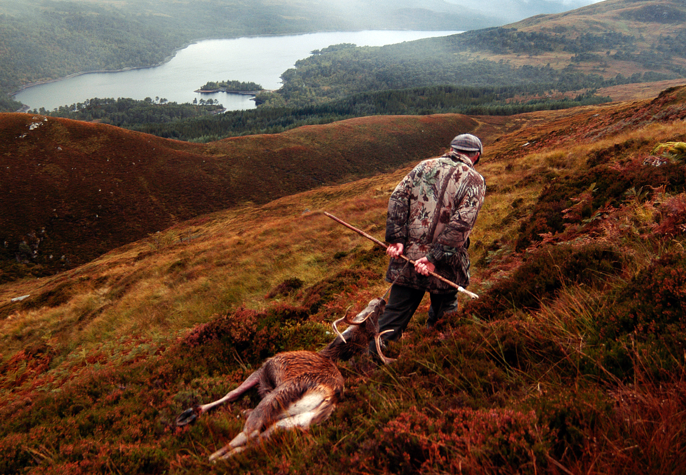 Red deer stalking in the Highlands