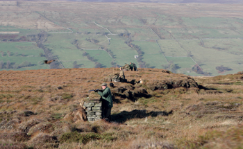 Grouse shooting
