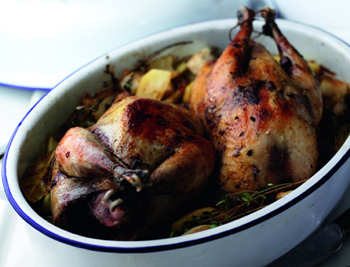 Game recipes - the five best pheasant recipes