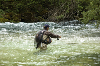 Top 10 trout rivers