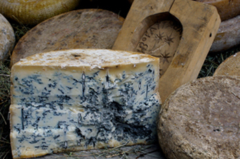 What to Drink With Cheese