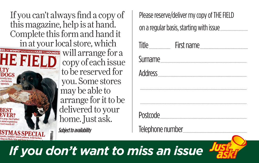 Find The Field at your newsagent