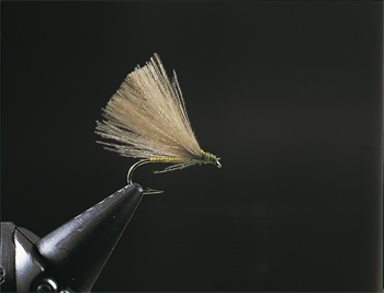 Fly fishing: fly fishing flies...and tying your own