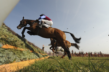 Point-to-Point meetings May 2012