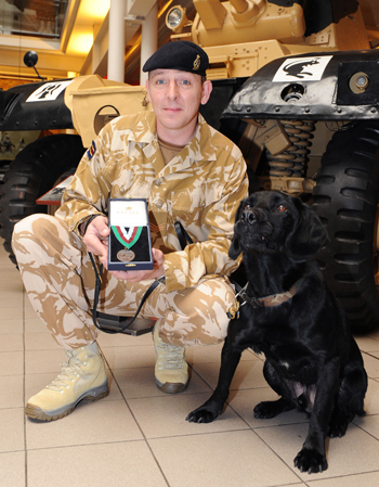 Help For Heroes: Gundog Class - Canine Heroes and the Dickin Medal