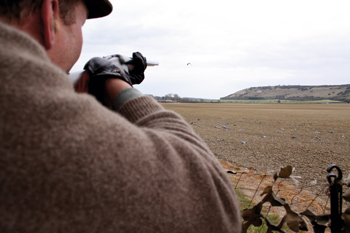Pigeon shooting