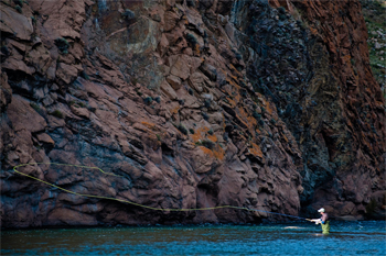 Fly fishing for taimen in Outer Mongolia