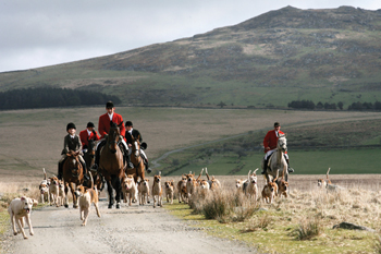 Hunting in the westcountry on Dartmoor and Bodmin