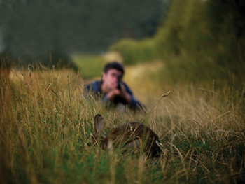 Rabbit shooting: Airgunning for summer rabbits