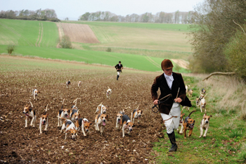 Hunting with beagles: Beagling at school and university