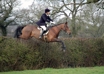 Hunt Rides
