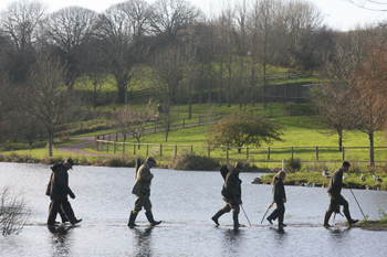 Shooting in Devon. Shoot report: Pheasant shooting at Brownstone shoot in South Devon