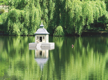 De luxe duck houses