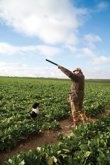 How to get your shooting stance right