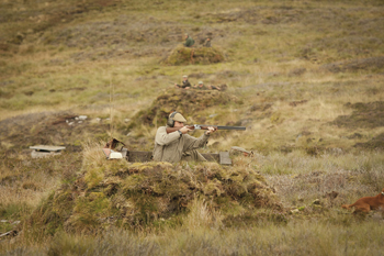 Grouse shooting on Whernside