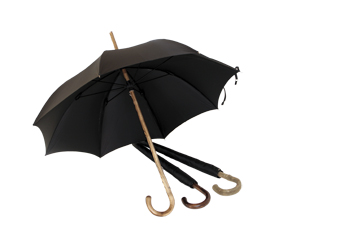 An ideal walking cane or umbrella
