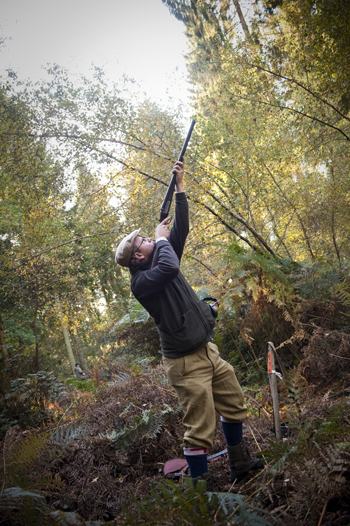 EU public consultation on firearms: act before 17 June