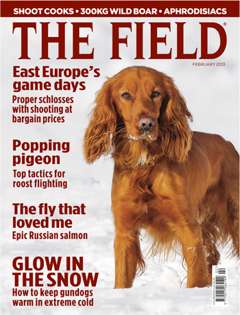 NEW OFFER: Save 25% on your subscription to The Field and receive FREE membership of the RAG Army and Navy Club