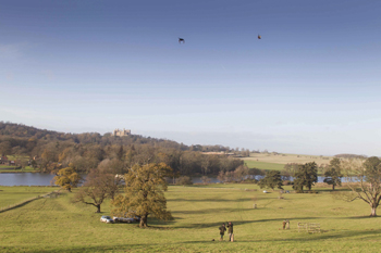 Castles with exceptional shoots: Belvoir Castle