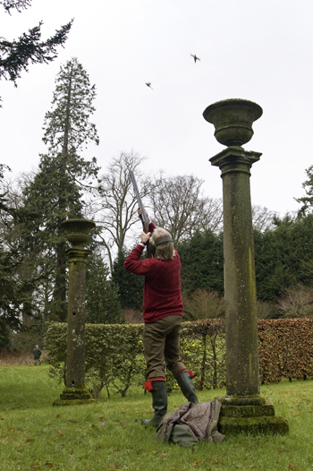 Castles with exceptional shoots: Brechin Castle, Angus