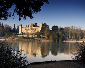 Castles with exceptional shoots