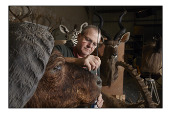 Taxidermist Colin Dunton 