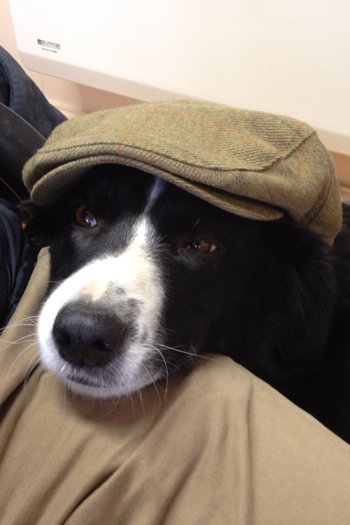The runners up of The Field's tweed giveaway are...