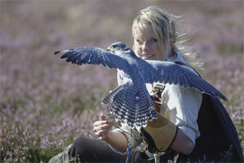 Emma ford british school falconry #4
